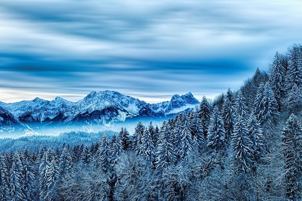 Winterlandschaft